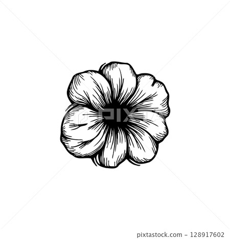 Elegant Hand-Drawn Flower Illustration with Detailed Shading and Artistic Flair Elegant Hand-Drawn Flower Illustration with Detailed Shading and Artistic Flair 128917602