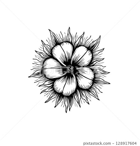 Elegant black and white floral drawing displaying a stylized flower illustration Elegant black and white floral drawing displaying a stylized flower illustration 128917604