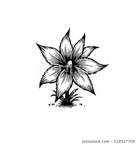 Detailed Botanical Illustration: Captivating Black and White Flower with Intricate Lines Detailed Botanical Illustration: Captivating Black and White Flower with Intricate Lines 128917709