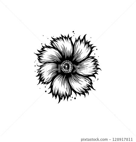 Intricate black and white flower illustration with detailed line work and delicate shading 128917811