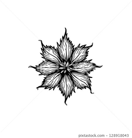 Elegant detailed flower illustration in monochrome for creative projects and designs 128918043