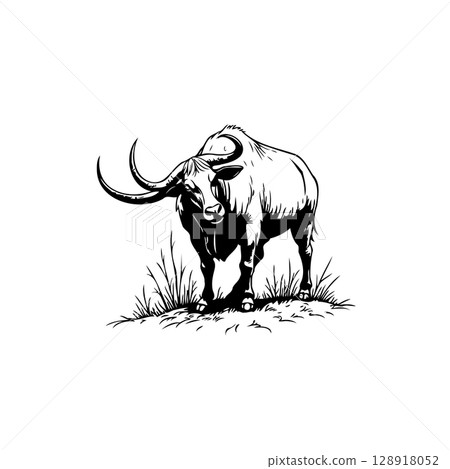 Majestic Bull Illustration with Long Horns in Black and White Style Graphic Majestic Bull Illustration with Long Horns in Black and White Style Graphic 128918052