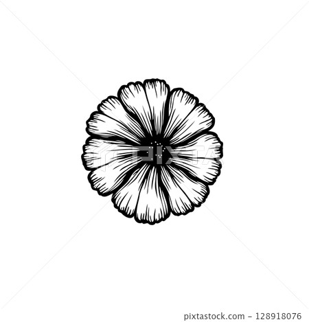 Elegant black and white floral illustration with delicate petal details design 128918076