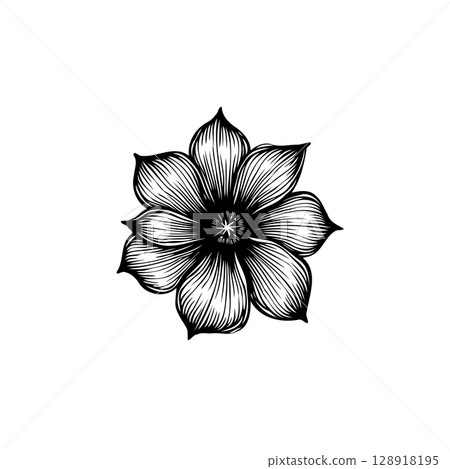 Elegant Single Flower Illustration in Black and White Delicate Floral Design 128918195