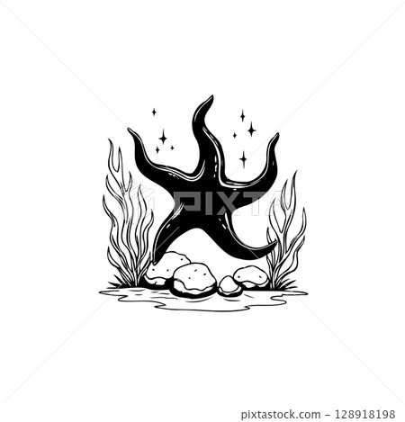 Elegant black and white illustration of a starfish among seaweed and rocks Elegant black and white illustration of a starfish among seaweed and rocks 128918198