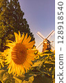 sunflower, sunflowers, summer 128918540