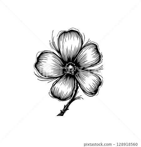 Elegant floral line art illustration featuring a blooming flower with delicate details 128918560