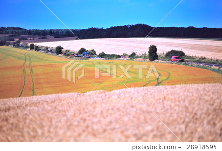 Autumn wheat fields Autumn wheat fields 128918595