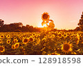sunflower, sunflowers, summer 128918598