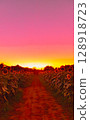 sunset, eventide, twilight 128918723