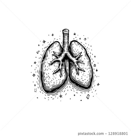 Detailed hand drawn lungs illustration depicting respiratory system health Detailed hand drawn lungs illustration depicting respiratory system health 128918801