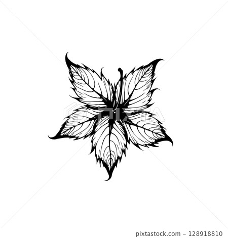 Elegant five-pointed floral design with intricate leaf patterns and black and white contrast 128918810
