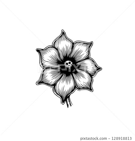 Monochrome floral illustration featuring a skull center creating an artistic contrast 128918813
