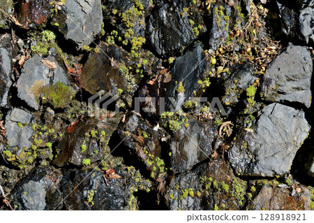 Spring water wetting the surface of the stonework on the Nippara Line forest road 128918921