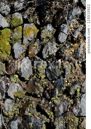 Spring water wetting the surface of the stonework on the Nippara Line forest road Spring water wetting the surface of the stonework on the Nippara Line forest road 128918922