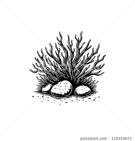 Abstract illustration of sea coral with pebbles in minimalist black and white style Abstract illustration of sea coral with pebbles in minimalist black and white style 128919072