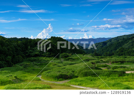 Nara Nunome Dam under a summer sky. Thin clouds that look like they were painted with a brush can be seen in the north. In the square next to the parking lot on the east side of the dam. 128919136