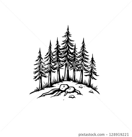 Illustrative depiction of evergreen trees in a natural setting, monochrome drawing Illustrative depiction of evergreen trees in a natural setting, monochrome drawing 128919221