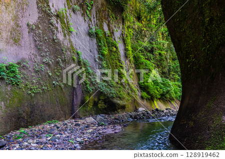 由布川溪谷[大分縣由布市] 128919462
