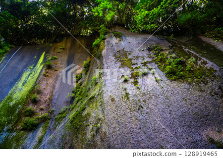 由布川溪谷[大分縣由布市] 128919465