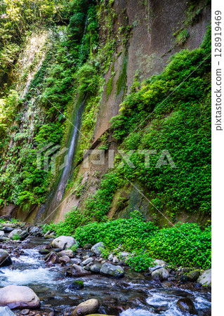 Yufu River Valley [Yufu City, Oita Prefecture] 128919469