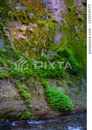 由布川溪谷[大分縣由布市] 128919473