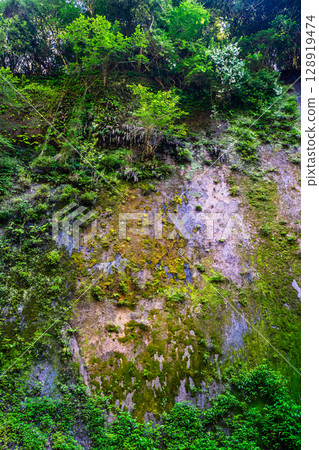 Yufu River Valley [Yufu City, Oita Prefecture] 128919474