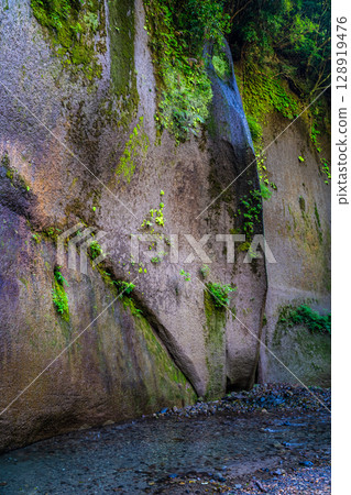 Yufu River Valley [Yufu City, Oita Prefecture] 128919476