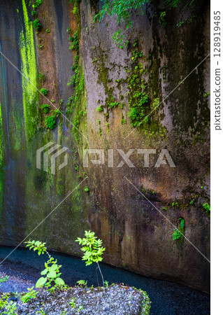 Yufu River Valley [Yufu City, Oita Prefecture] 128919485