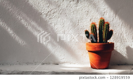 Potted green cactus on white textured wall. Strong sun casts interesting shadows. 128919559
