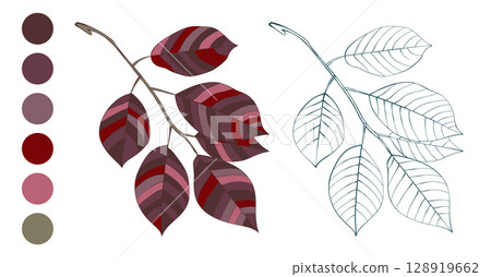 Hand-drawn autumn colored leaves isolated on white background. Purple violet branch and color palette, flat and line style vector illustration. Hand-drawn autumn colored leaves isolated on white background. Purple violet branch and color palette, flat and line style vector illustration. 128919662