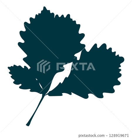 Hand-drawn oak leaves silhouette isolated on white background. Flat style vector illustration. Hand-drawn oak leaves silhouette isolated on white background. Flat style vector illustration. 128919671