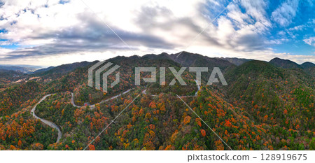 秋季蘆之車道 128919675