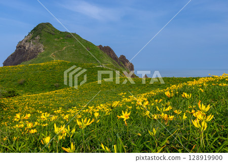 Sado City, Niigata Prefecture: Onogame, a monolith jutting out from the Sotokaifu coast of Sado Island, and a colony of Tobishima day lilies 128919900