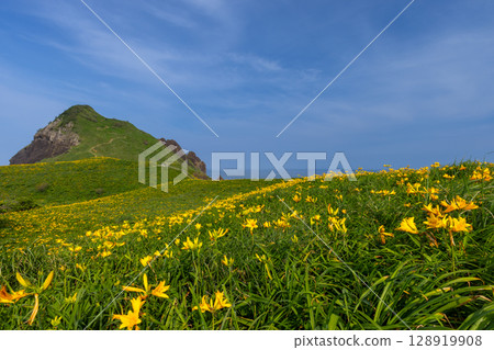 Sado City, Niigata Prefecture: Onogame, a monolith jutting out from the Sotokaifu coast of Sado Island, and a colony of Tobishima day lilies 128919908