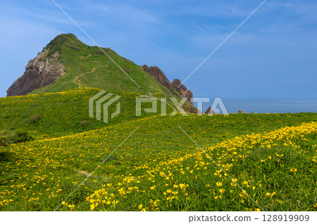 Sado City, Niigata Prefecture: Onogame, a monolith jutting out from the Sotokaifu coast of Sado Island, and a colony of Tobishima day lilies Sado City, Niigata Prefecture: Onogame, a monolith jutting out from the Sotokaifu coast of Sado Island, and a colony of Tobishima day lilies 128919909