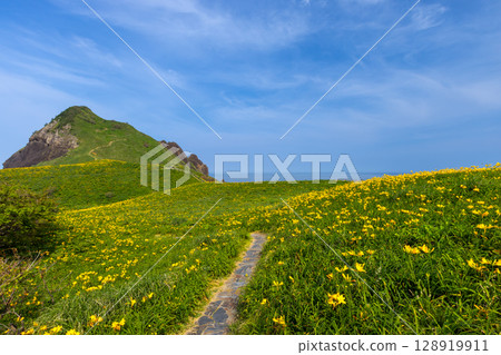 新潟縣佐渡市:佐渡島外海府海岸突出的巨石「小野龜」與飛島萱草群落 新潟縣佐渡市:佐渡島外海府海岸突出的巨石「小野龜」與飛島萱草群落 128919911