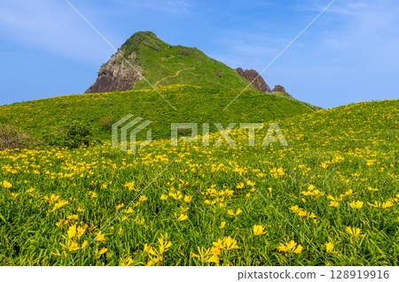 Sado City, Niigata Prefecture: Onogame, a monolith jutting out from the Sotokaifu coast of Sado Island, and a colony of Tobishima day lilies 128919916