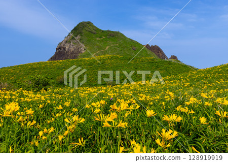 Sado City, Niigata Prefecture: Onogame, a monolith jutting out from the Sotokaifu coast of Sado Island, and a colony of Tobishima day lilies 128919919