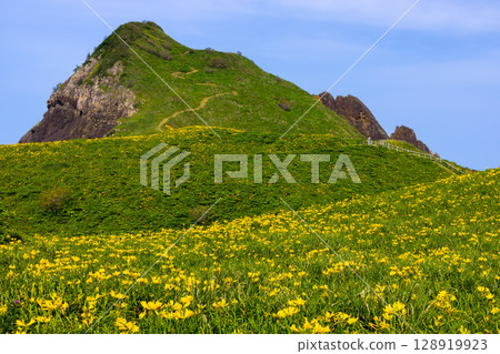 Sado City, Niigata Prefecture: Onogame, a monolith jutting out from the Sotokaifu coast of Sado Island, and a colony of Tobishima day lilies Sado City, Niigata Prefecture: Onogame, a monolith jutting out from the Sotokaifu coast of Sado Island, and a colony of Tobishima day lilies 128919923