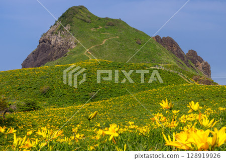 Sado City, Niigata Prefecture: Onogame, a monolith jutting out from the Sotokaifu coast of Sado Island, and a colony of Tobishima day lilies 128919926
