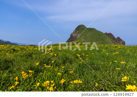 Sado City, Niigata Prefecture: Onogame, a monolith jutting out from the Sotokaifu coast of Sado Island, and a colony of Tobishima day lilies 128919927