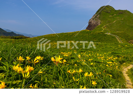 Sado City, Niigata Prefecture: Onogame, a monolith jutting out from the Sotokaifu coast of Sado Island, and a colony of Tobishima day lilies 128919928