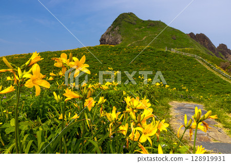 Sado City, Niigata Prefecture: Onogame, a monolith jutting out from the Sotokaifu coast of Sado Island, and a colony of Tobishima day lilies 128919931