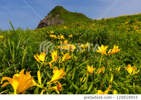 Sado City, Niigata Prefecture: Onogame, a monolith jutting out from the Sotokaifu coast of Sado Island, and a colony of Tobishima day lilies 128919933