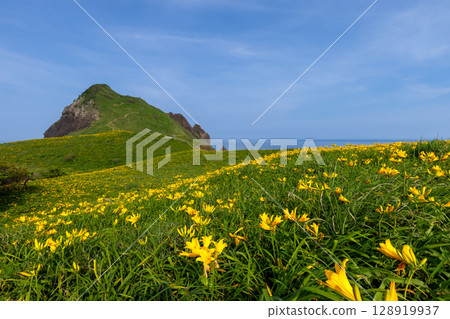 Sado City, Niigata Prefecture: Onogame, a monolith jutting out from the Sotokaifu coast of Sado Island, and a colony of Tobishima day lilies Sado City, Niigata Prefecture: Onogame, a monolith jutting out from the Sotokaifu coast of Sado Island, and a colony of Tobishima day lilies 128919937