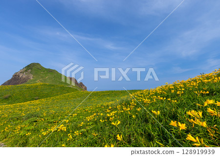 Sado City, Niigata Prefecture: Onogame, a monolith jutting out from the Sotokaifu coast of Sado Island, and a colony of Tobishima day lilies Sado City, Niigata Prefecture: Onogame, a monolith jutting out from the Sotokaifu coast of Sado Island, and a colony of Tobishima day lilies 128919939