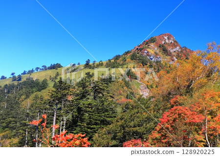 [愛媛縣]龜森（石嘴山）的紅葉 128920225