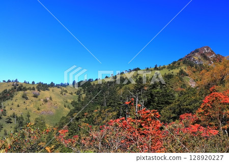[Ehime Prefecture] Autumn leaves in Kamegamori (Mt. Ishizuchi) 128920227