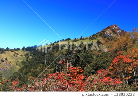 [Ehime Prefecture] Autumn leaves in Kamegamori (Mt. Ishizuchi) 128920228